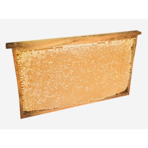 Petek bal 2.1 2.4 kg arası 